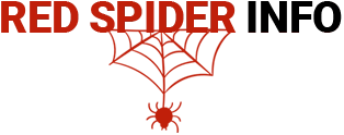 Red Spider Info Logo